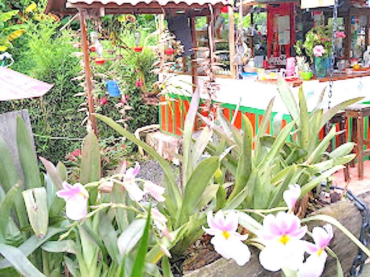 Auberge de jeunesse 'Etoile d'eau à Salento Extérieur photo